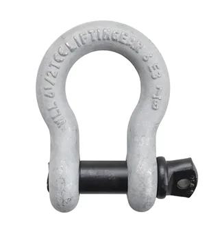 Cheie Tachelaj Omega cu bolt 1 T